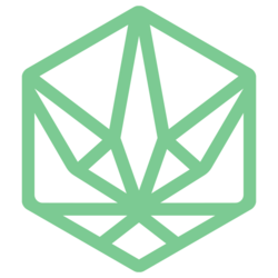 Hydra