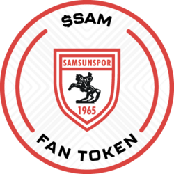 Wrapped Samsunspor (Kayen)