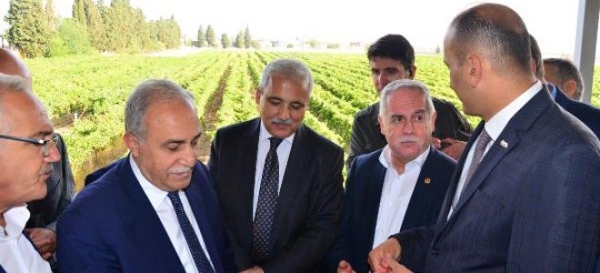 Bakan Fakıbaba: Kuru üzüm 4 liranın altına düşmeyecek
