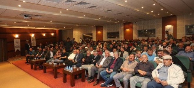 Sakarya Bölgesinde Tavuk Üreticilerinden Üretim Durdurma Kararı