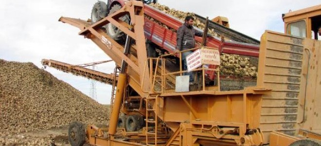 Sandıklılı şeker pancarı üreticisi kota artışı bekliyor