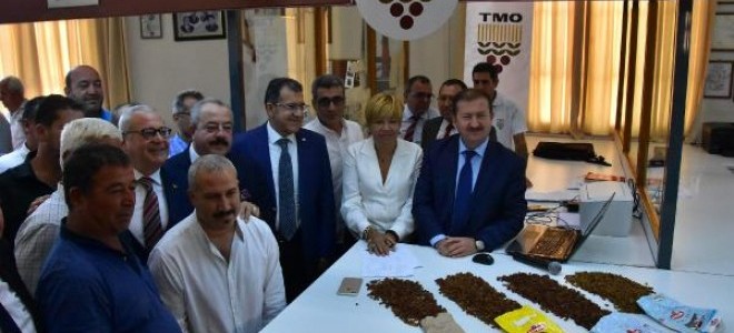 TMO İzmir Ticaret Borsası’nda ilk üzüm alımını yaptı