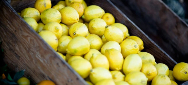 2025'in zam şampiyonu limon oldu