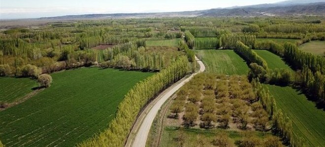 6 soruda 2B arazilerinin tapulaştırma süreci