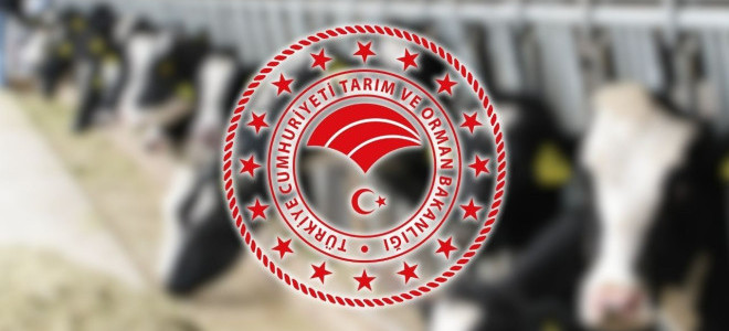 Aksaray'da şap alarmı: 9 köy karantinaya alındı