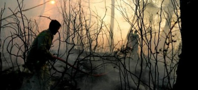 Aon: 2025'te doğal afetler 260 milyar dolar kayba yol açtı