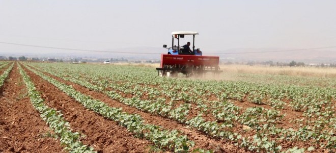 Bakan açıkladı: 10 projede tarımsal üretimin altyapısı güçlendirilecek