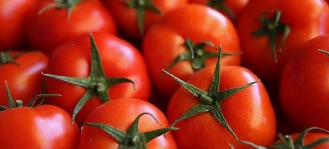 Bakanlık, domates ihracatına kısıtlama getirdi