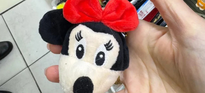 Bakanlık duyurdu: Bir peluş oyuncak hakkında toplatma kararı alındı