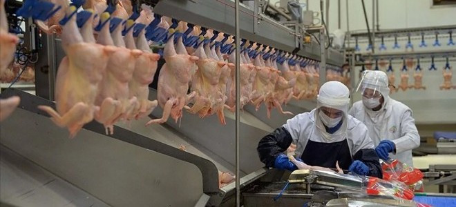 Beyaz et sektöründe 13 firmaya 3,7 milyar TL rekabet cezası