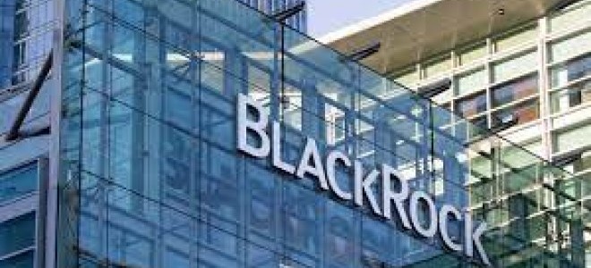 BlackRock'tan yaklaşık 12,5 milyar dolarlık satın alma