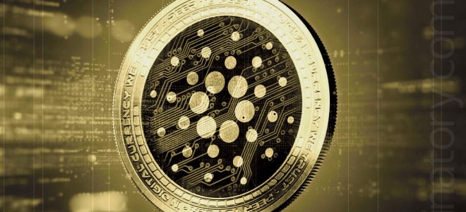 Cardano en çok gelişim gösteren kripto para birimi oldu