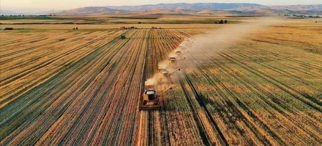 Çiftçilere 3 milyar TL'lik destek ödemesi yapılacak