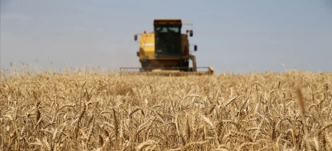 Çiftçilere 320,6 milyon TL destek ödemesi yapılacak