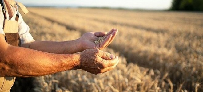“Çiftçilere de 5 bin liralık emekli ikramiyesi verilecek” iddiası