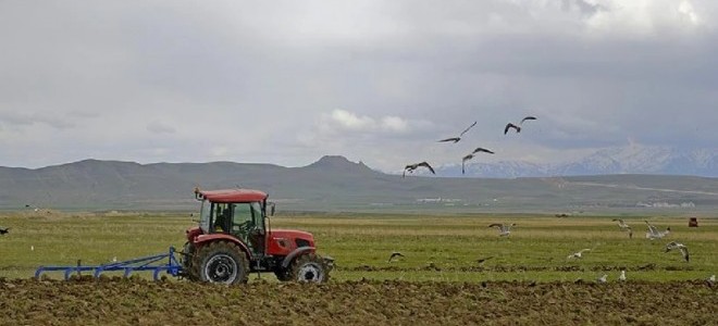 Çiftçilere yaklaşık 827 milyon TL'lik destek ödemesi yapılacak
