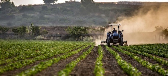 Çiftçinin enflasyonu 14 ayın en düşük seviyesinde