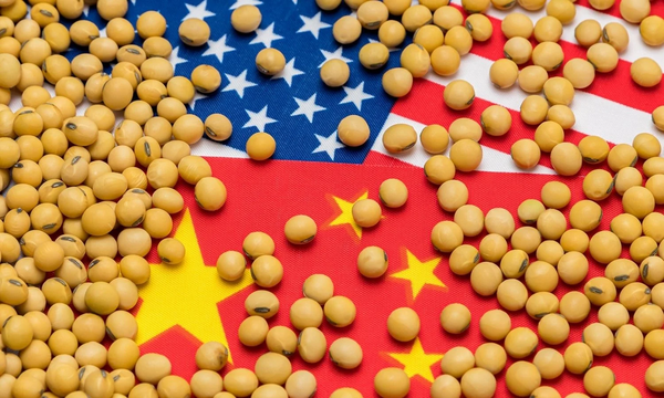 Çin'den ABD'ye soya fasulyesi taahhüdü
