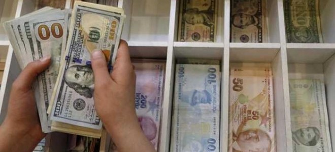 Dolarizasyonda iki ayın en sert yükselişi