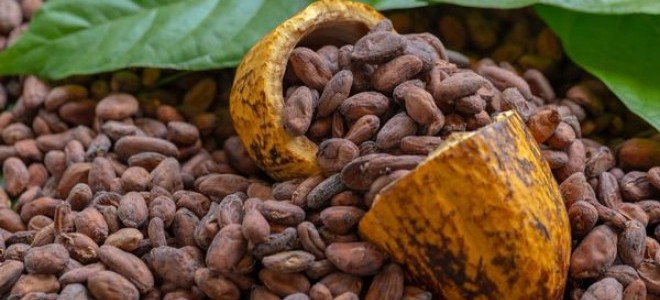 Dünyada kakao fiyatları zirve tazeledi: Bakırdan daha değerli hale geldi