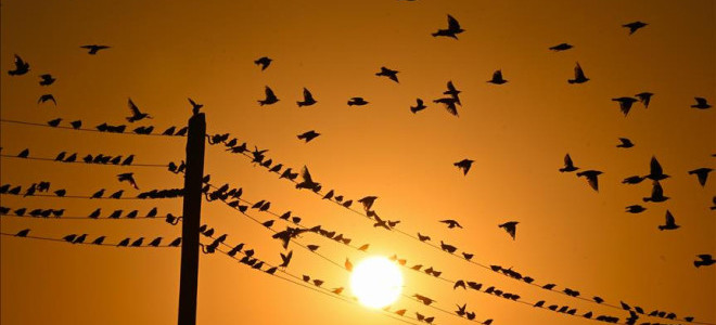 Elektrikte ulusal tarifenin süresi 2030’a uzatıldı