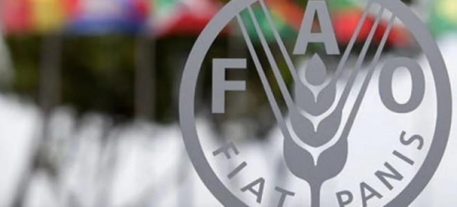 FAO: Küresel gıda fiyatları aralıkta geriledi