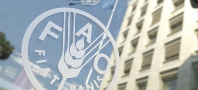 FAO: Ukrayna savaşı gıda fiyatlarında yüzde 20'lik artışı tetikleyebilir