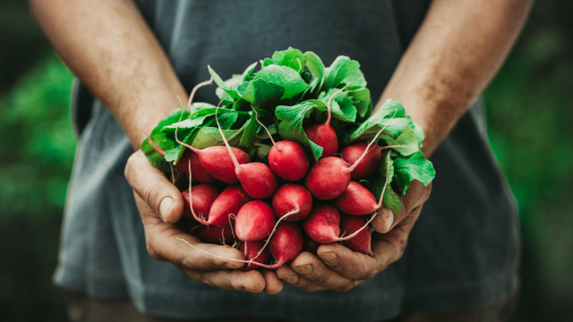 Gıdada pestisit limitlerine düzenleme: Listeye bir sebze daha eklendi