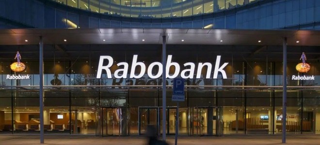 Hepsiburada'yı satan alan şirketin yeni hedefi Rabobank'ın Türkiye birimi 