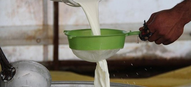 Hesaplama yöntemi değişti: Çiğ sütün üretim maliyeti belli oldu