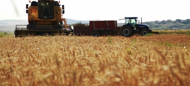 IGC: Küresel Buğday Üretimi 2018/19'da 42 Milyon Ton Düşecek