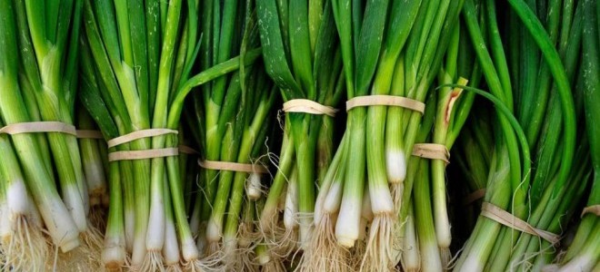 İTO: Ocakta fiyatı en çok artan ürün yeşil soğan oldu