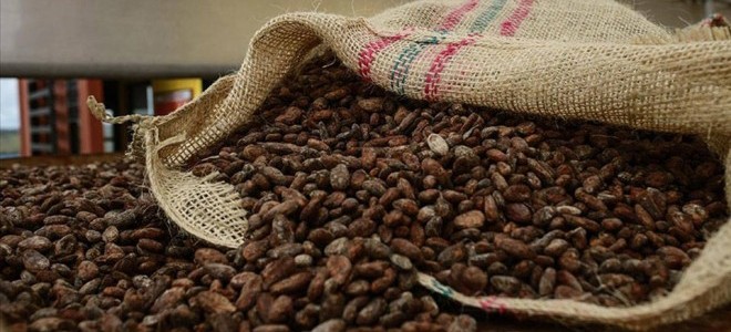 Kakao fiyatları zirvede: Emtia piyasasında son durum