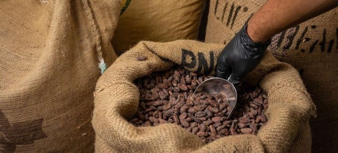 Kakao fiyatlarında tarihi ralli