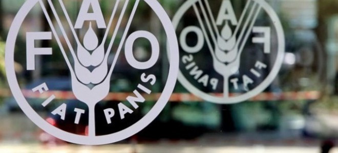 Küresel gıda fiyatları ekimde geriledi