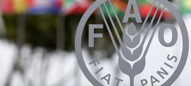 Küresel gıda fiyatları son 2 yılın zirvesine çıktı