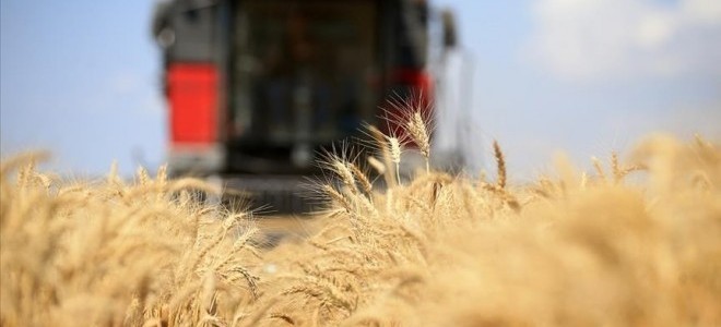 Küresel gıda fiyatlarında sınırlı gerileme