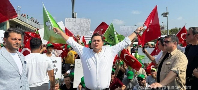 Martı iki yıl süren davayı kazandı: E-ulaşım lisansının önü açıldı