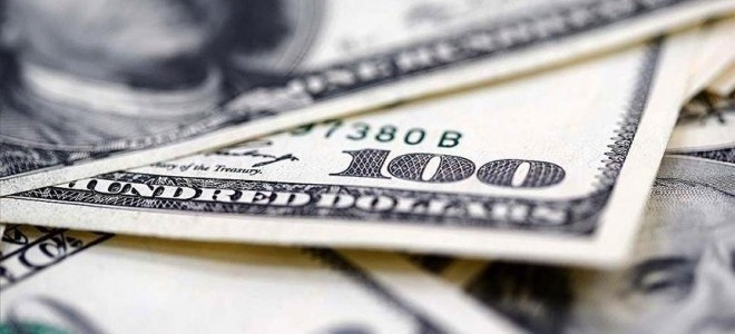 Merkez Bankası döviz alımına geri döndü