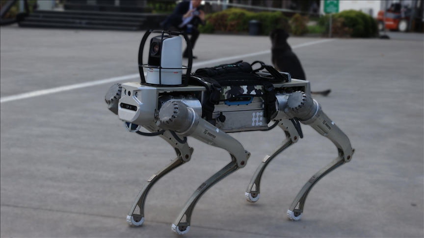 Milli robot köpek PROTEO, gelecek yıl göreve hazır olacak