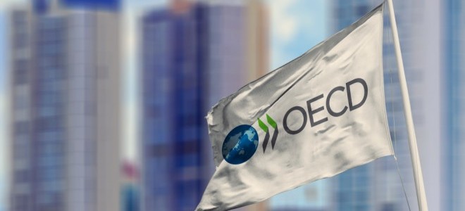 OECD Türkiye 2022 büyüme tahminini yükseltti