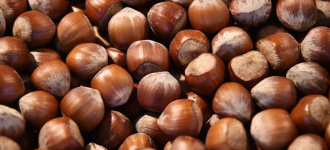 Rekabet Kurulu Ferrero'nun fındık alım taahhütlerini revize etti