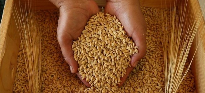 Resmi Gazete'de yayımlandı: Buğday, mısır ve arpada gümrük vergileri %130 olarak belirlendi