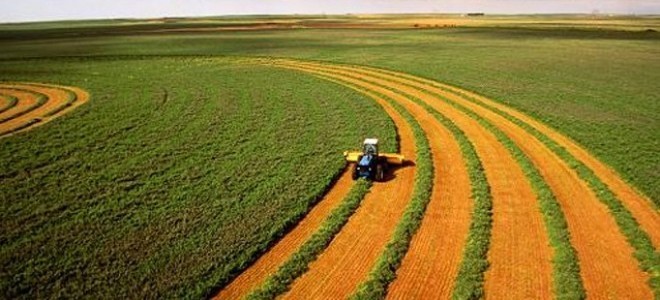 Tarım ÜFE, 2023'te yüzde 52,66 artış kaydetti
