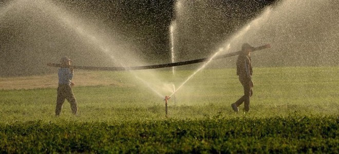 Tarım ÜFE’de son 10 yılın en sert aylık düşüşü