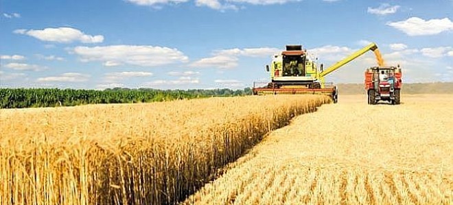 Tarım ÜFE yıllık yüzde 36,39 arttı