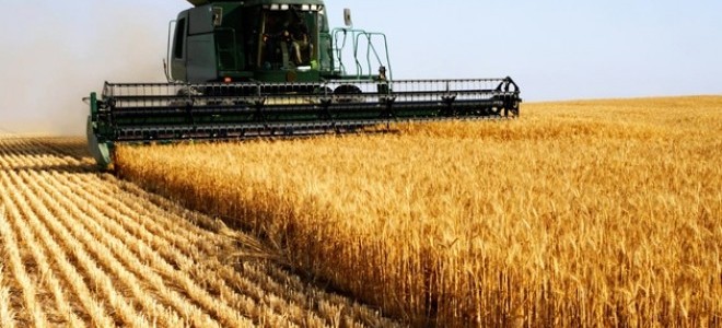 Tarım ürünleri üretici fiyatları Aralık’ta arttı