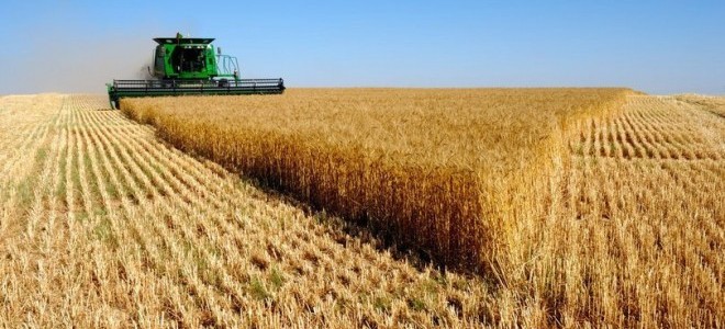 Tarım ürünleri üretici fiyatları Temmuz’da %1,06 düştü
