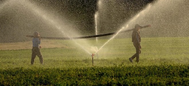 Tarımda üretici enflasyonu haziranda ivme kaybetti