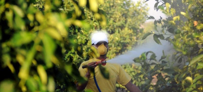 Tarımda yeni dönem: 5 soruda 